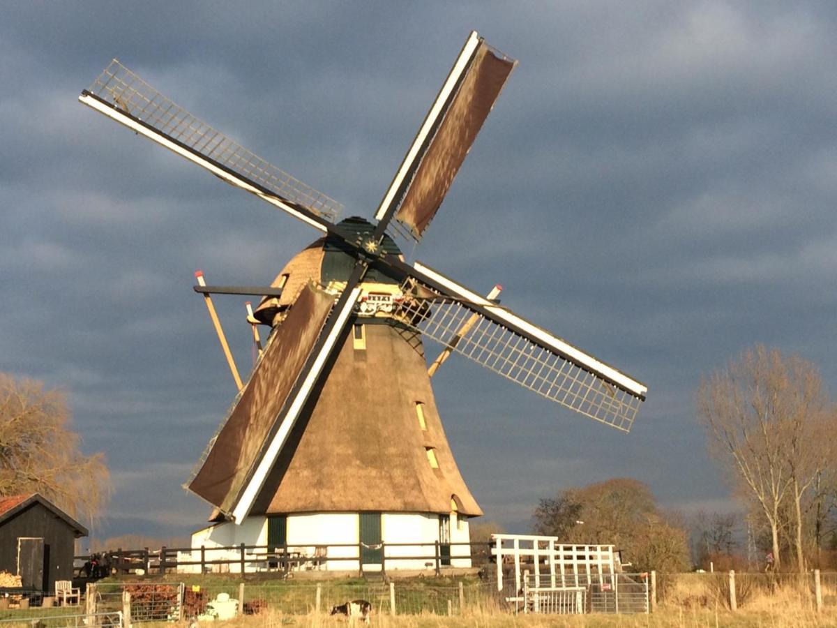 Mondriaanmolen, A Real Windmill Close To Amsterdam أبكودْ المظهر الخارجي الصورة