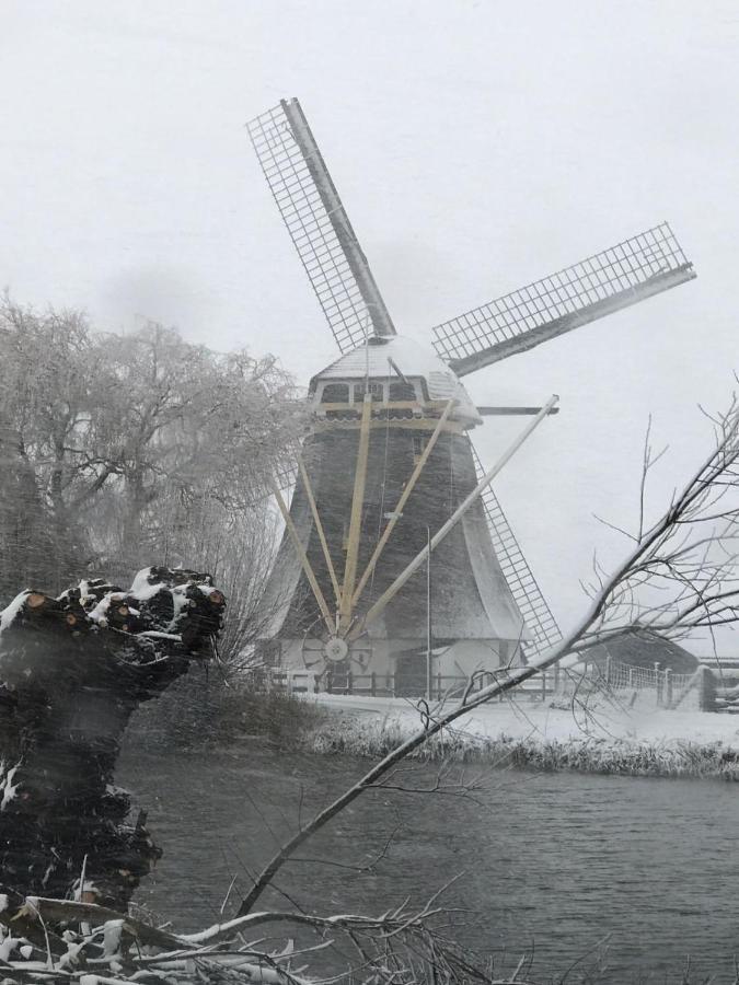 Mondriaanmolen, A Real Windmill Close To Amsterdam أبكودْ المظهر الخارجي الصورة